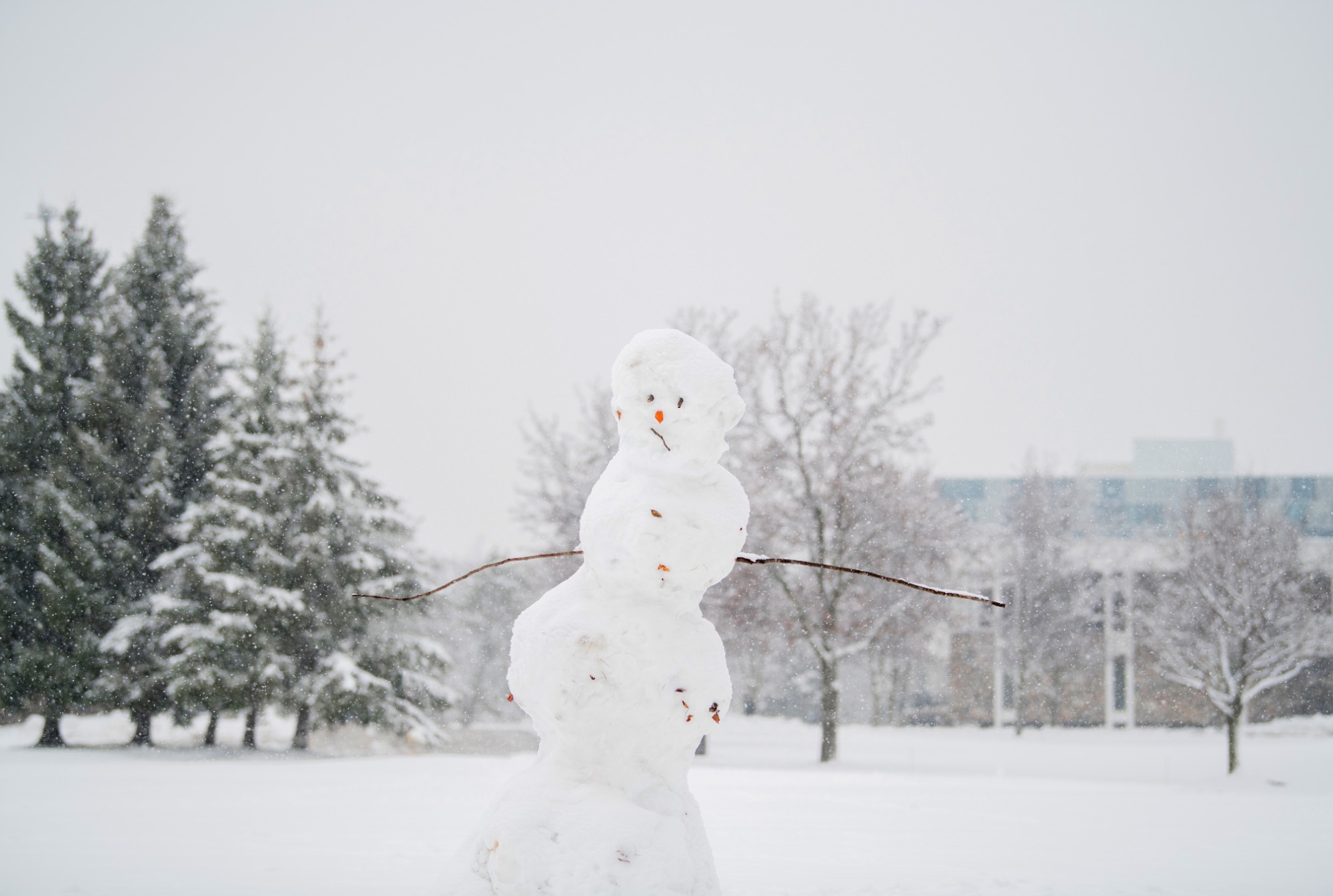 Snowman Photo